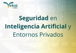 Seguridad en Inteligencia Artificial y Entornos Privados
